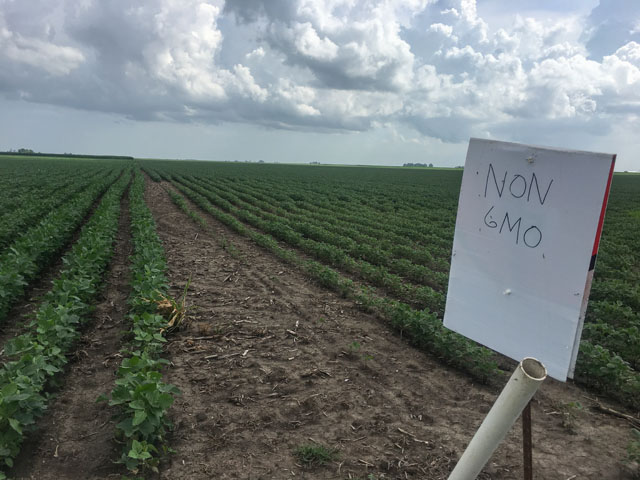 A sign of the times as some growers marked soybean fields last year hoping to alert applicators of sensitive varieties within. New studies are showing more about the characteristics of new dicamba formulations. (DTN photo by Pamela Smith)